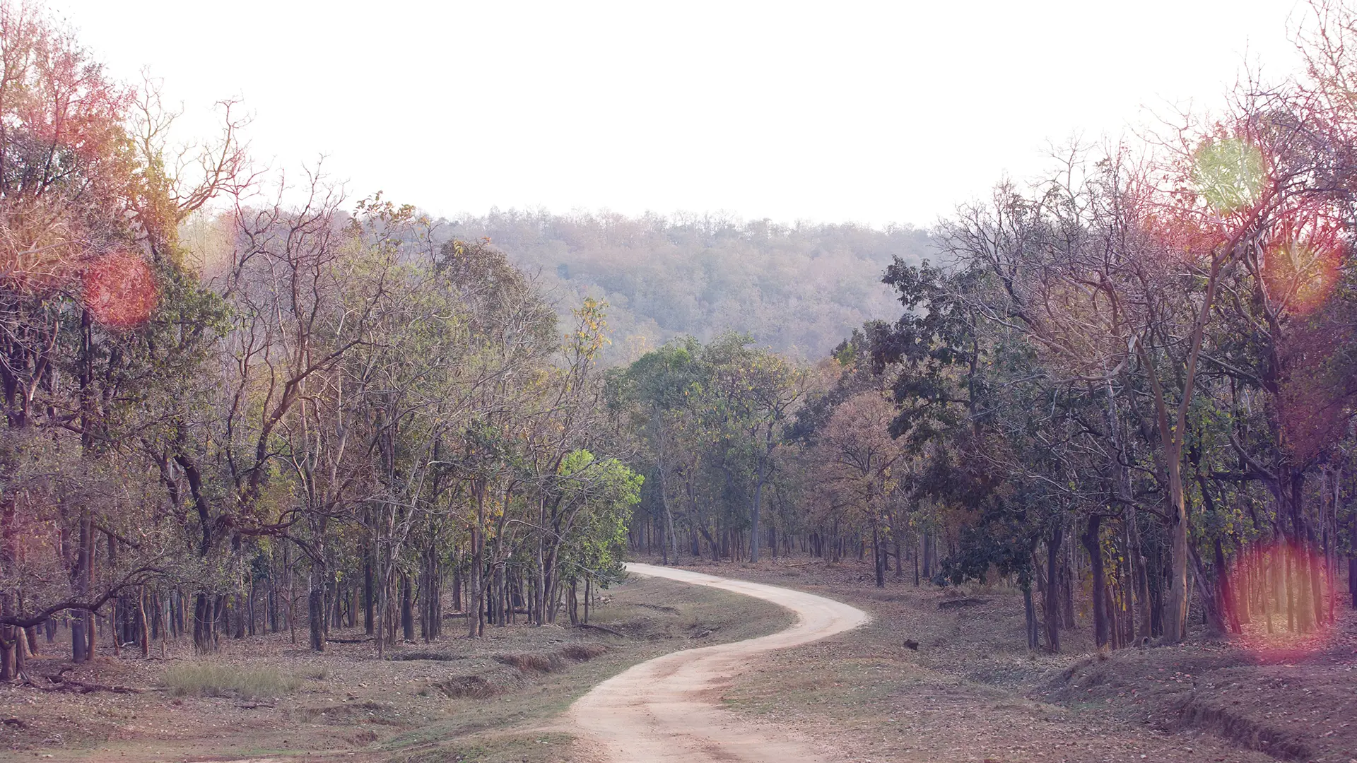 Bandhavgarh Fort