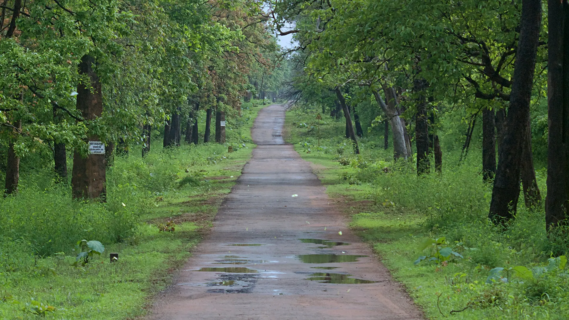 Off Road