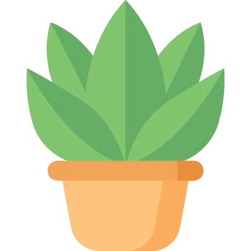 Eco Friendly
